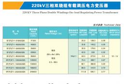 220 KV Three Phase Double Windings On-load Regulating Power Transformer