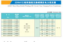 220 KV Three Phase Double Windings Off-Circuit -Tap-Changing Power Transformer